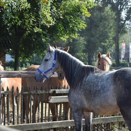 Holiday Recreatiepark De Boshoek.14 בית נופש פורטהאוזן